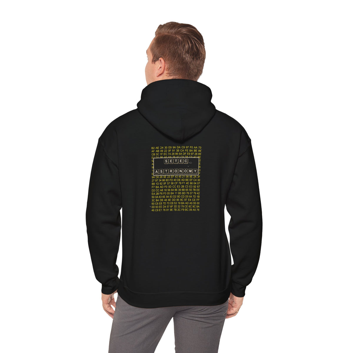 Setec Astronomy Pullover Hoodie