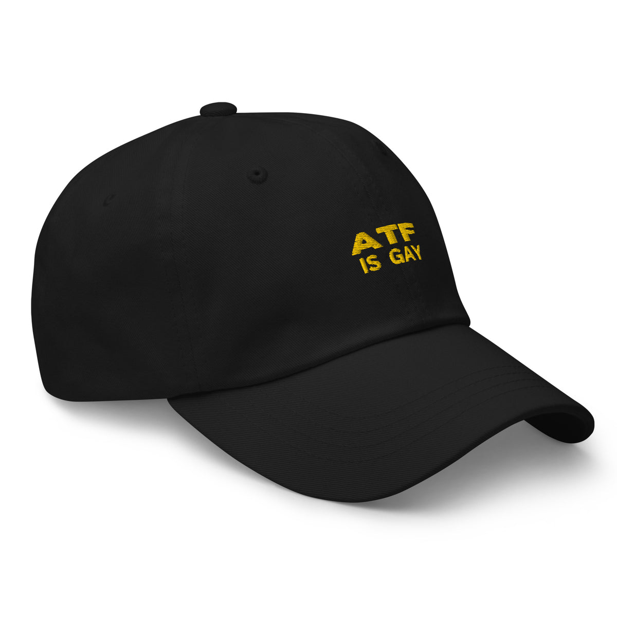 ATF Is Gay Hat