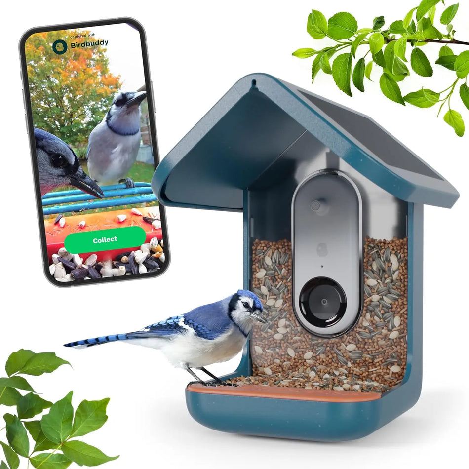 Original Smart Bird Feeder with Camera Solar Powered. High Resolution AI Camera for Beautiful Close-up Shots and a Unique
